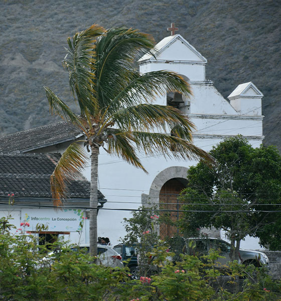 Parroquia La Concepción