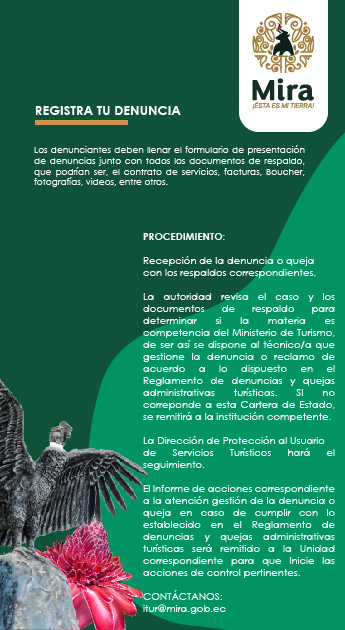 Recomendaciones